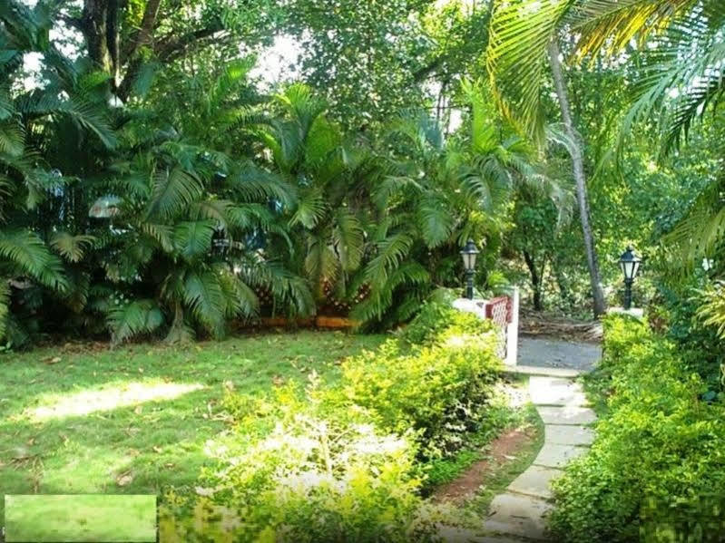 Hotel Little Italy Calangute Esterno foto